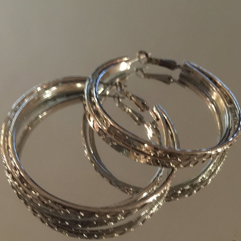 Gorgeous Earrings - Stocking Stuffer - Never Worn